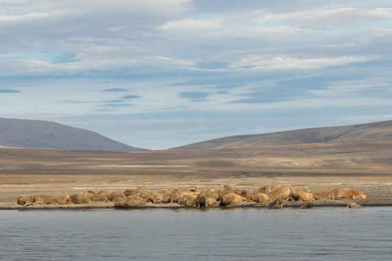 OTL08-24, Day 7,   2B5A2636 © Juan Martin Berenstein - Oceanwide Expeditions.jpg