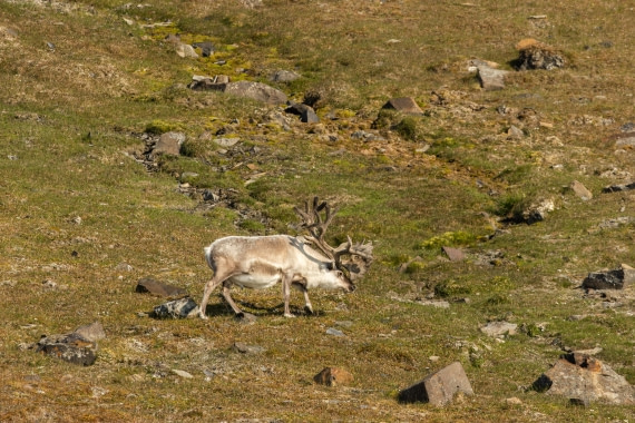 OTL08-24, Day 7,   2B5A2662 © Juan Martin Berenstein - Oceanwide Expeditions.jpg