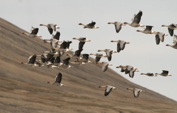 OTL08-24, Day 7, IMG_7513 © Simon Davies - Oceanwide Expeditions.JPG