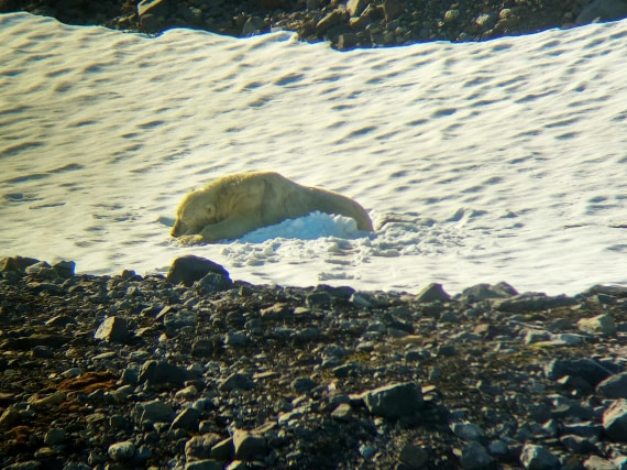 OTL08-24, Day 8, IMG_20240804_141236 © Unknown photographer - Oceanwide Expeditions.jpg