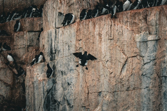 Macht Platz hier oben…