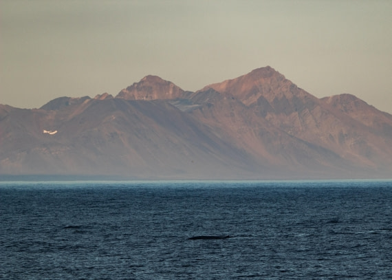 HDS10-24, Day 1, IMG_8102 © Koen Jongerling - Oceanwide Expeditions.jpg