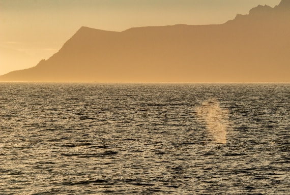 HDS10-24, Day 1, IMG_8108 © Koen Jongerling - Oceanwide Expeditions.jpg