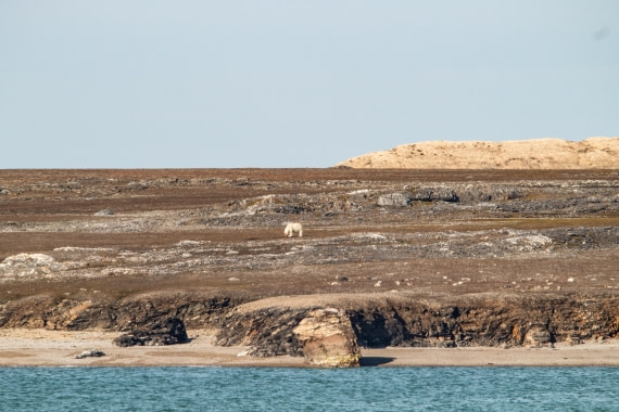 HDS10-24, Day 2, IMG_8122 © Koen Jongerling - Oceanwide Expeditions.jpg