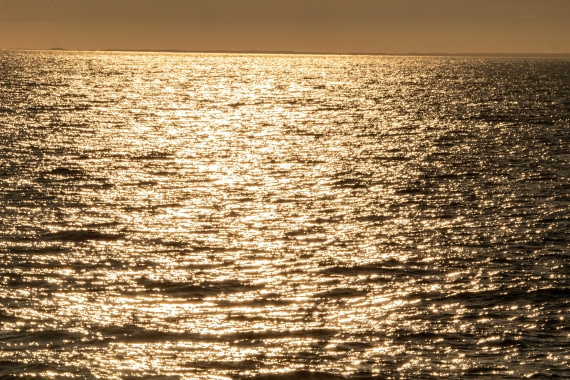 HDS10-24, Day 1, IMG_8109 © Koen Jongerling - Oceanwide Expeditions.jpg