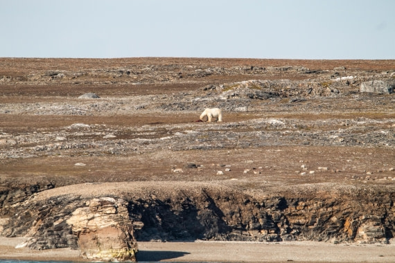 HDS10-24, Day 2, IMG_8123 © Koen Jongerling - Oceanwide Expeditions.jpg