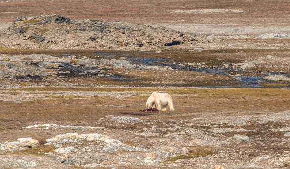 HDS10-24, Day 2, IMG_8132 © Koen Jongerling - Oceanwide Expeditions.jpg