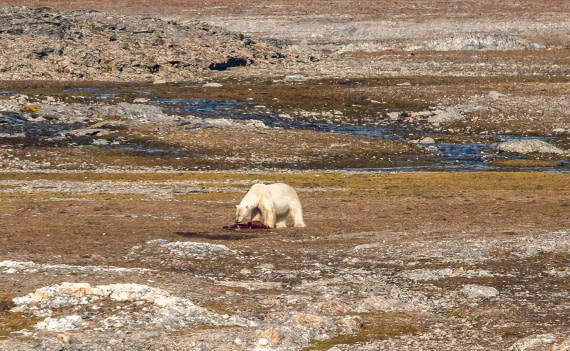 HDS10-24, Day 2, IMG_8134 © Koen Jongerling - Oceanwide Expeditions.jpg