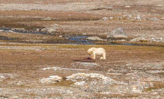 HDS10-24, Day 2, IMG_8135 © Koen Jongerling - Oceanwide Expeditions.jpg