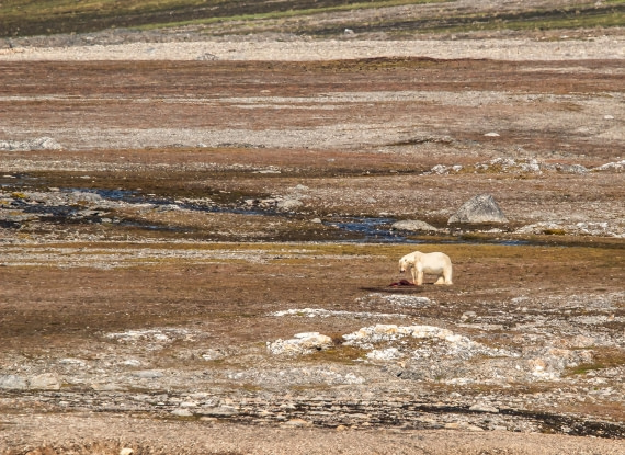 HDS10-24, Day 2, IMG_8136 © Koen Jongerling - Oceanwide Expeditions.jpg