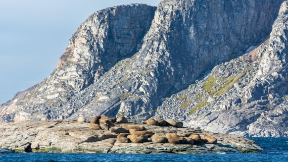 HDS10-24, Day 3, _DSC4621 © Koen Jongerling - Oceanwide Expeditions.jpg