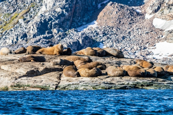 HDS10-24, Day 3, IMG_8213 © Koen Jongerling - Oceanwide Expeditions.jpg