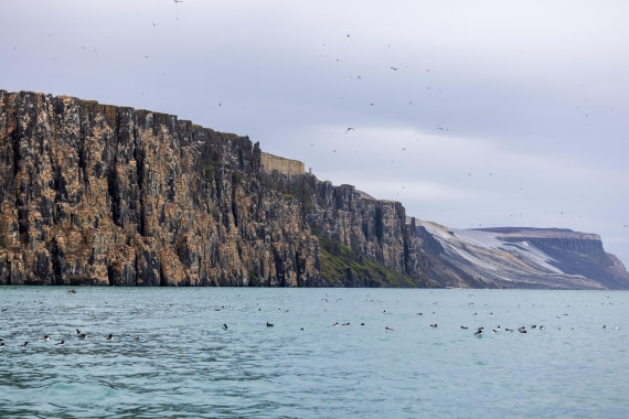 HDS10-24, Day 7, 177A9680 © Unknown photographer - Oceanwide Expeditions.jpg