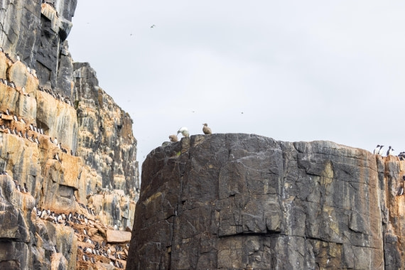 HDS10-24, Day 7, 177A9693 © Unknown photographer - Oceanwide Expeditions.jpg