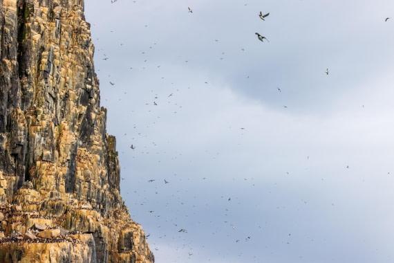 HDS10-24, Day 7, 177A9783 © Unknown photographer - Oceanwide Expeditions.jpg