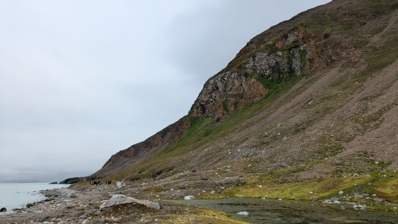 PLA10-24, Day 2, Bird cliff Sabrina Kerth © Sabrina Kerth - Oceanwide Expeditions.jpg