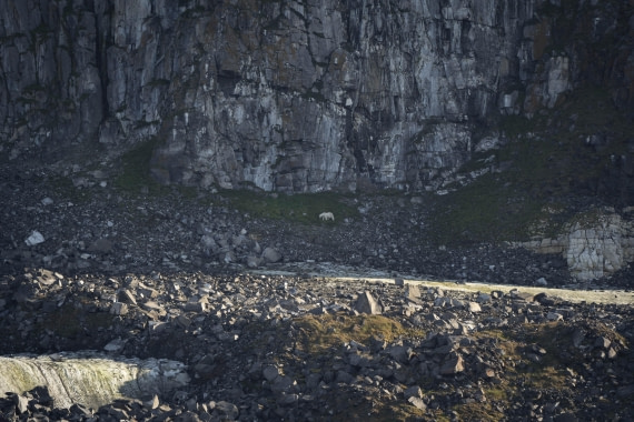 PLA10-24, Day 3, LD_08913_AINR_PS2 © Laurence Dyke - Oceanwide Expeditions.jpg