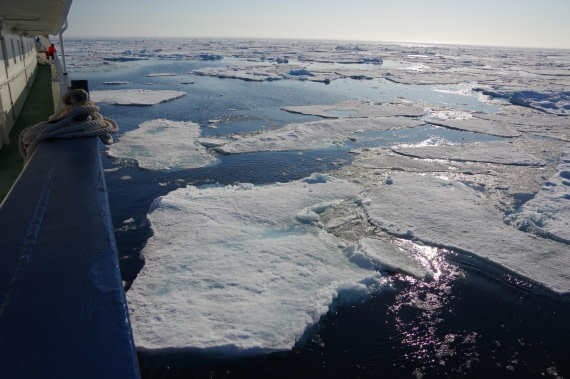PLA10-24, Day 4, helene 12 aout (1) © Hélène de Méringo - Oceanwide Expeditions.JPG
