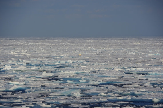 PLA10-24, Day 4, helene 12 aout (2) © Hélène de Méringo - Oceanwide Expeditions.JPG