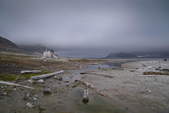 PLA10-24, Day 5, LD_00342_AINR_PS2 © Laurence Dyke - Oceanwide Expeditions.jpg