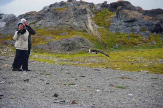 PLA10-24, Day 8, IMGP0492 © Unknown photographer - Oceanwide Expeditions.JPG