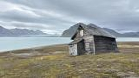 PLA10-24, Day 9, IMG_4328_© Ursula Tscherter © Ursula Tscherter - Oceanwide Expeditions.JPG