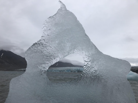 PLA10-24, Day 9, IMG_8287 © Unknown photographer - Oceanwide Expeditions.JPG