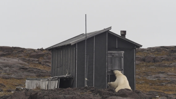 PLA10-24, Day 7, PLA10-24__1010127_© Ursula Tscherter © Ursula Tscherter - Oceanwide Expeditions.JPG