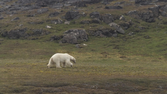 PLA10-24, Day 7, PLA10-24__1010219_© Ursula Tscherter © Ursula Tscherter - Oceanwide Expeditions.JPG