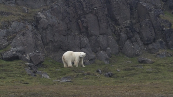 PLA10-24, Day 7, PLA10-24__1010224_© Ursula Tscherter © Ursula Tscherter - Oceanwide Expeditions.JPG