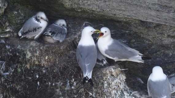 PLA10-24, Day 7, PLA10-24__1010459_© Ursula Tscherter © Ursula Tscherter - Oceanwide Expeditions.JPG