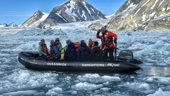 Always on the lookout