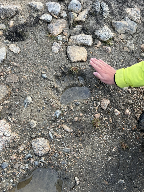 PLA11-24, Day 2,  IMG_5617 © Jess Owen - Oceanwide Expeditions.jpg