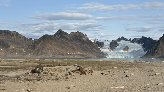 PLA11-24, Day 2, 4594_© Ursula Tscherter © Ursula Tscherter - Oceanwide Expeditions.jpg
