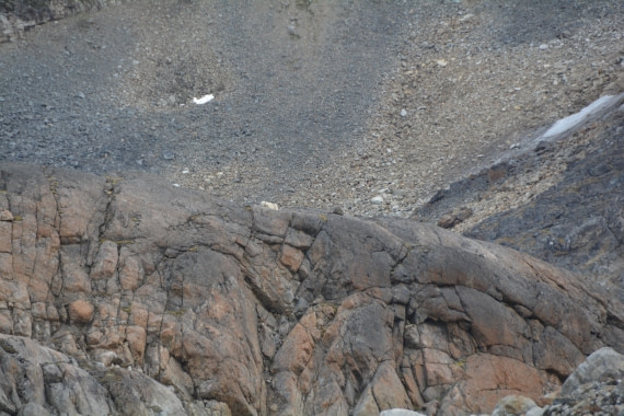 PLA11-24, Day 2, DSC_0040 © Paolo Bellezze - Oceanwide Expeditions.JPG