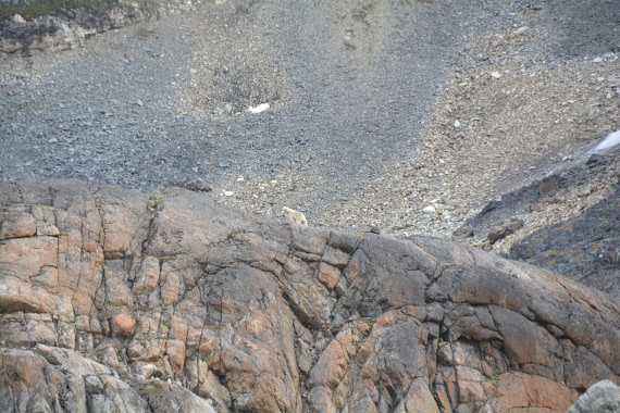 PLA11-24, Day 2, DSC_0049 © Paolo Bellezze - Oceanwide Expeditions.JPG