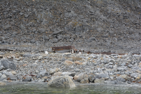 PLA11-24, Day 2, DSC_0101 © Paolo Bellezze - Oceanwide Expeditions.JPG