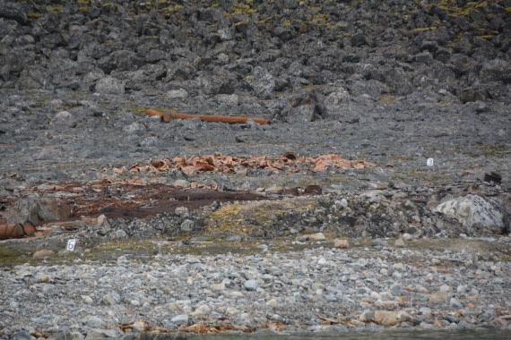 PLA11-24, Day 2, DSC_0105 © Paolo Bellezze - Oceanwide Expeditions.JPG