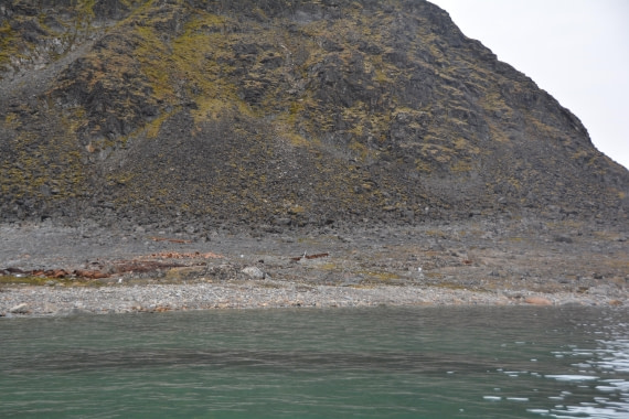 PLA11-24, Day 2, DSC_0106 © Paolo Bellezze - Oceanwide Expeditions.JPG