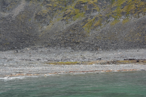 PLA11-24, Day 2, DSC_0107 © Paolo Bellezze - Oceanwide Expeditions.JPG