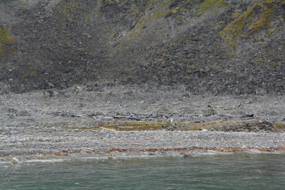 PLA11-24, Day 2, DSC_0108 © Paolo Bellezze - Oceanwide Expeditions.JPG