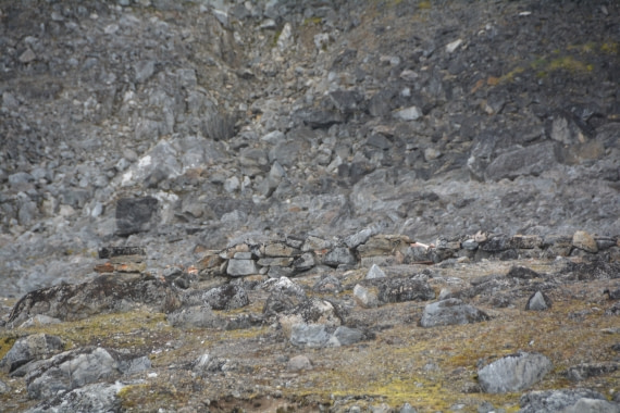 PLA11-24, Day 2, DSC_0114 © Paolo Bellezze - Oceanwide Expeditions.JPG