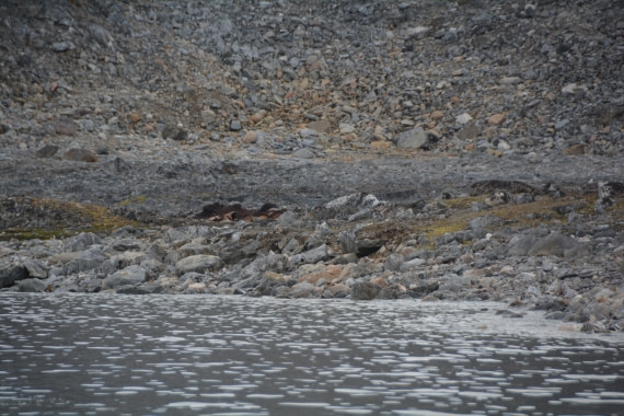 PLA11-24, Day 2, DSC_0125 © Paolo Bellezze - Oceanwide Expeditions.JPG
