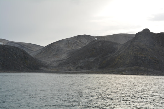 PLA11-24, Day 2, DSC_0129 (2) © Paolo Bellezze - Oceanwide Expeditions.JPG