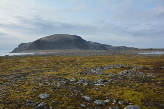 PLA11-24, Day 2, DSC_0173 © Paolo Bellezze - Oceanwide Expeditions.JPG