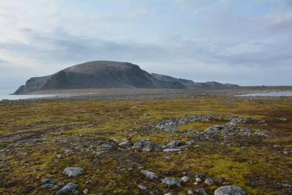 PLA11-24, Day 2, DSC_0175 © Paolo Bellezze - Oceanwide Expeditions.JPG