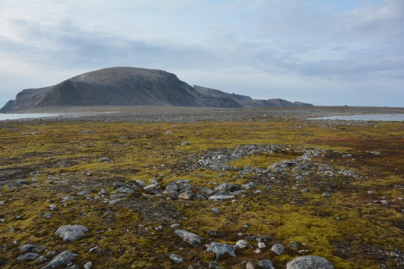 PLA11-24, Day 2, DSC_0179 (2) © Paolo Bellezze - Oceanwide Expeditions.JPG