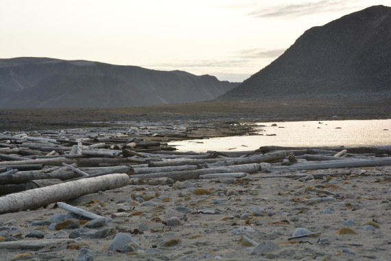 PLA11-24, Day 2, DSC_0201 (2) © Paolo Bellezze - Oceanwide Expeditions.JPG