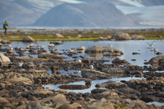 PLA11-24, Day 2, DSC_0204 © Paolo Bellezze - Oceanwide Expeditions.JPG