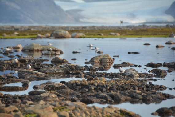 PLA11-24, Day 2, DSC_0205 © Paolo Bellezze - Oceanwide Expeditions.JPG